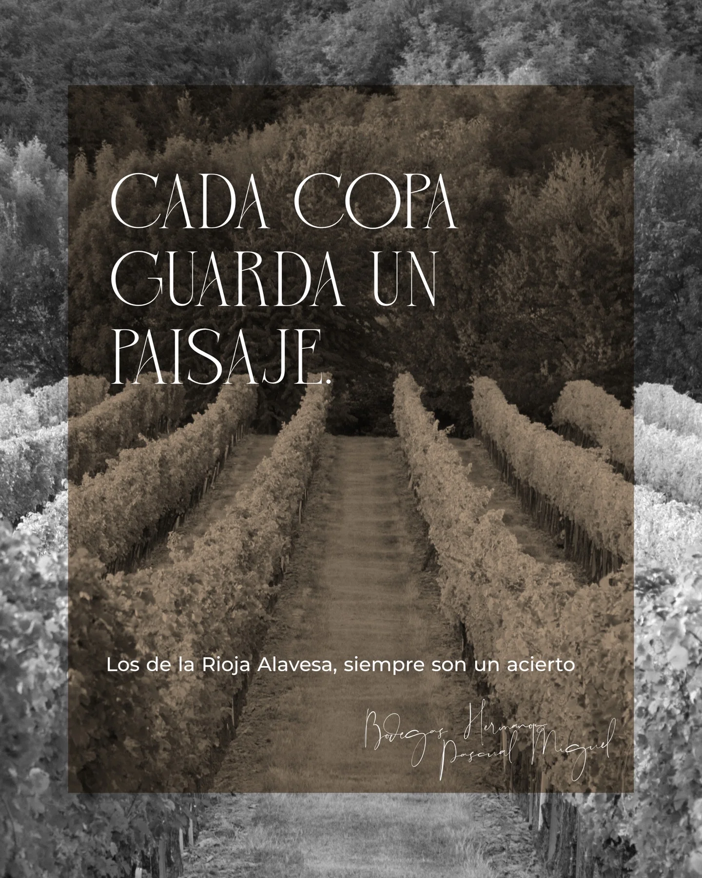 Bodegas HPM Social Media